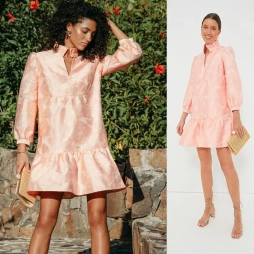 Tuckernuck NEW Bellini Fil Coupe Pink Drop Waist Long Sleeve Palmerston Dress S - Picture 3 of 11